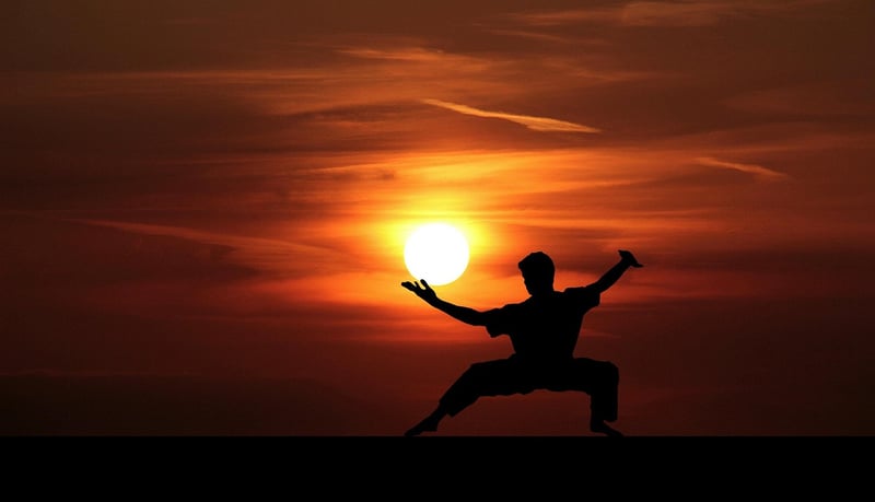 Tai Chi Push Hands